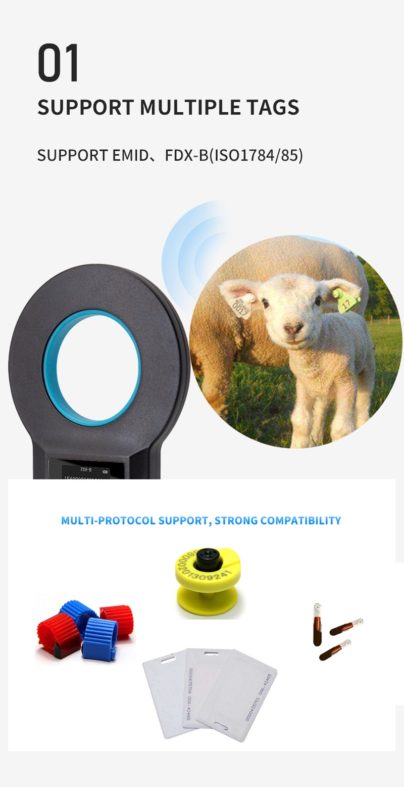 OLED ekran visoke svetline na W90B čitaču obezbeđuje da podaci ostanu čitljivi čak i pod jakim spoljnim sunčevim svetlom