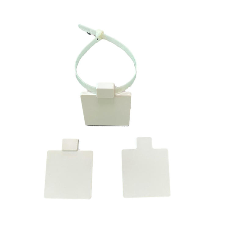 Studijska fotografija prikazuje RFID vezicu sa oznakom model Z5555-1 sa uzorkom trake u petlji iznad dva ravna prazna četvrtasta tela oznake.
