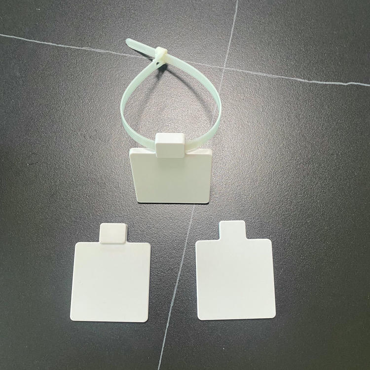 Fotografija na stolu prikazuje RFID vezicu sa oznakom model Z5555-1 sa jednom sastavljenom petljom i dva odvojena četvrtasta dela oznake za poređenje.