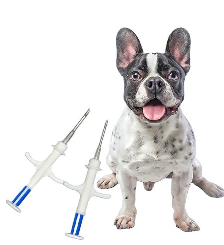 Fotografija psa pored dva šprica za implantaciju mikročipa ilustruje veterinarsku RFID identifikaciju i pronalazak ljubimaca.