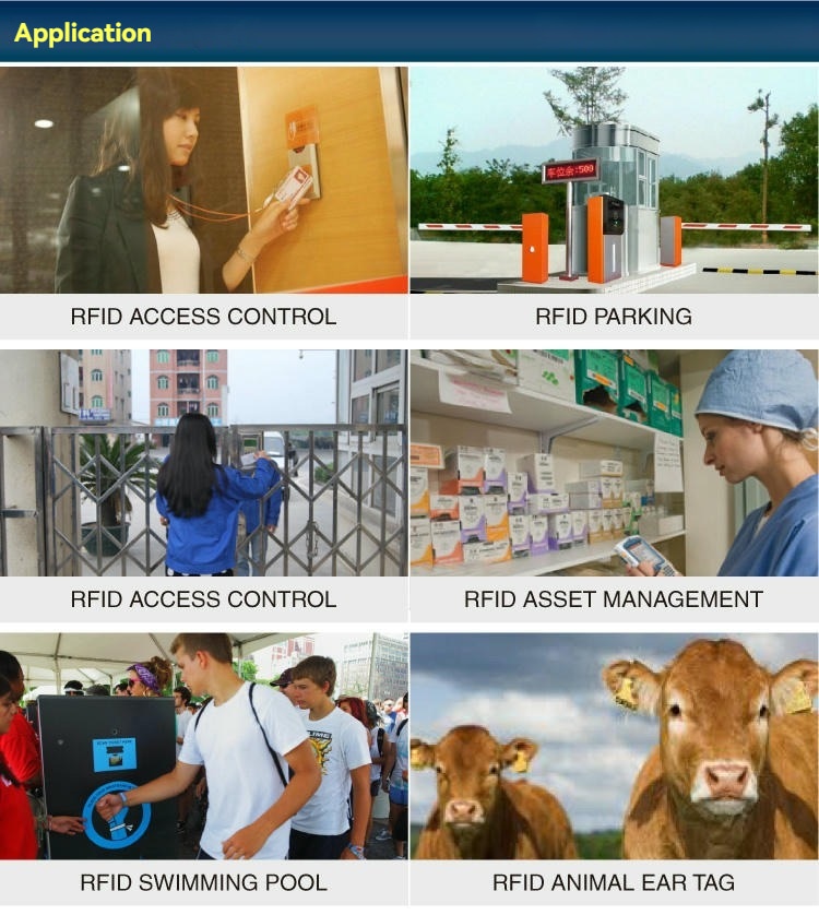 Ova slika prikazuje kolaž primena za NAIL06-5 RFID nail tag koji uključuje kontrolu pristupa, parking, upravljanje imovinom i praćenje životinja.
