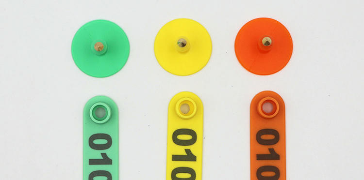 Ova slika prikazuje E-022 RFID ušne markice za ovce u zelenoj, žutoj i narandžastoj boji radi poređenja dostupnih boja i rasporeda numeracije.